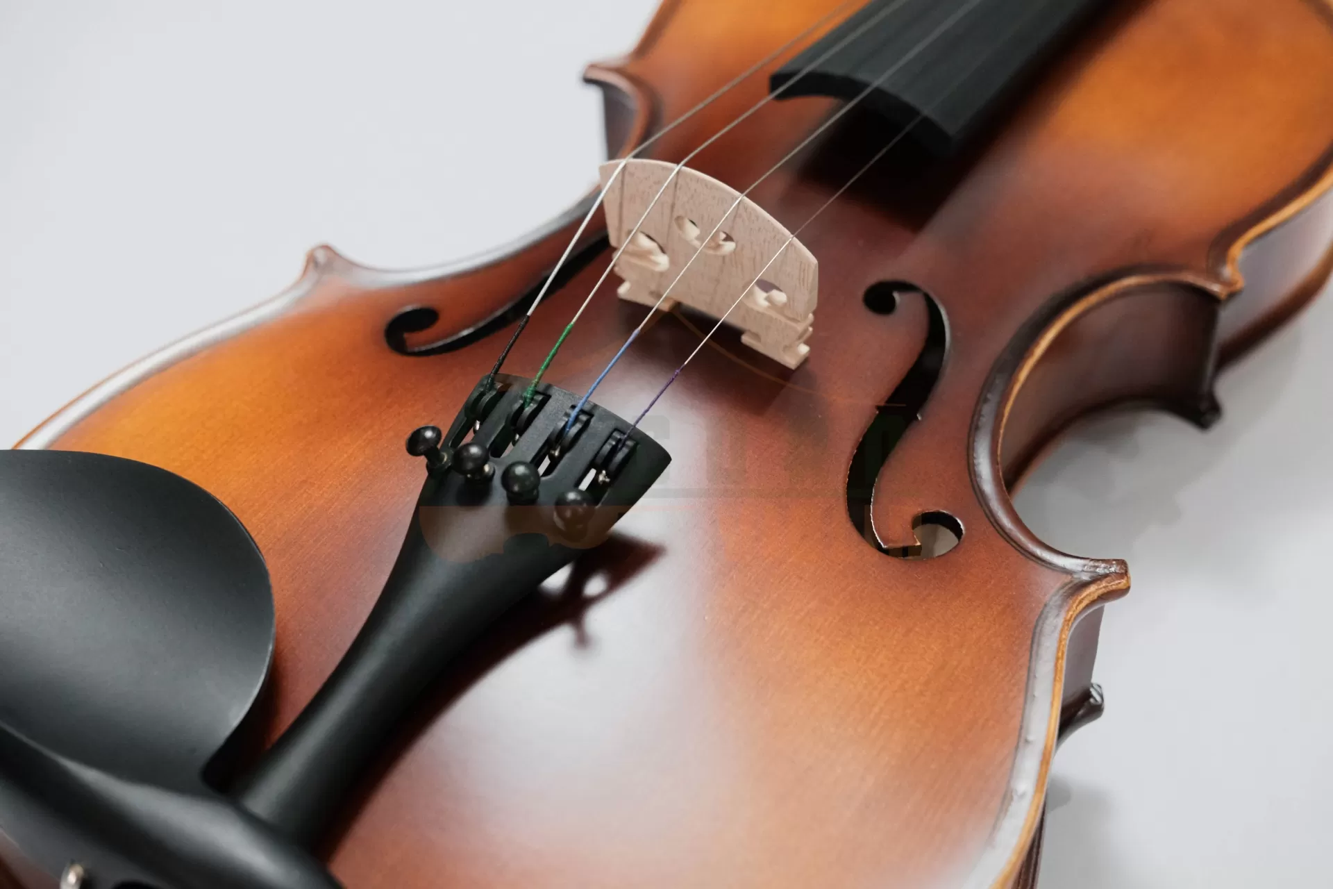 Violin Aurora AU01_có setup, full phụ kiện cho người mới học Violin