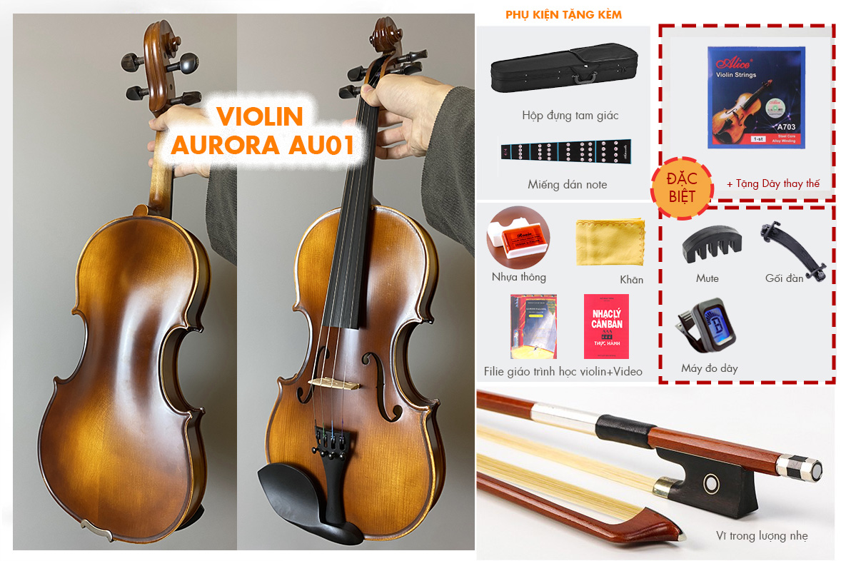 Violin Aurora AU01_có setup, full phụ kiện cho người mới học Violin