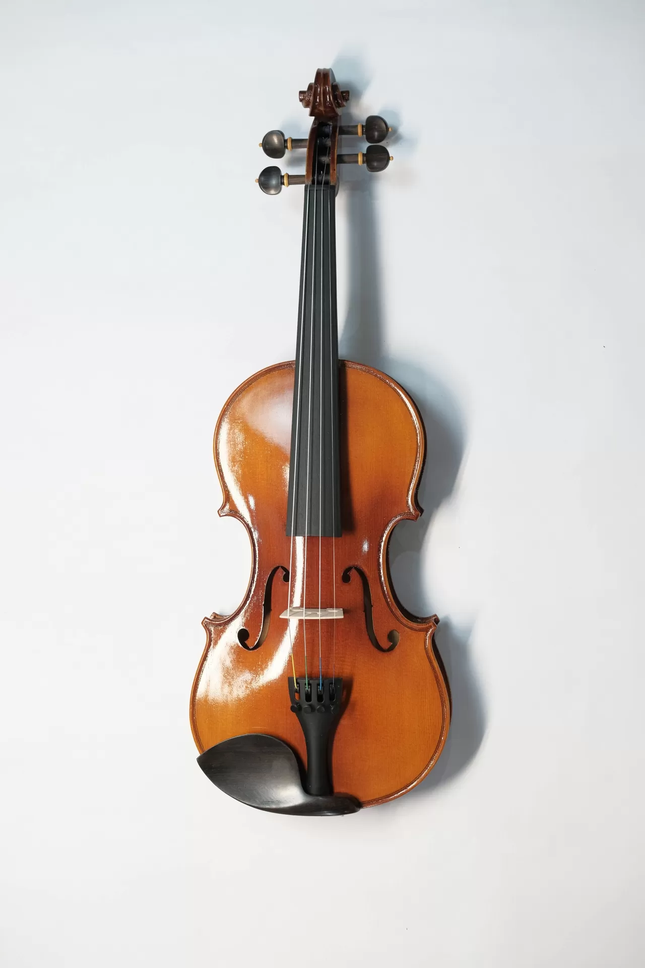 Violin Aurora AU03-H_có setup, full phụ kiện cho người mới học Violin