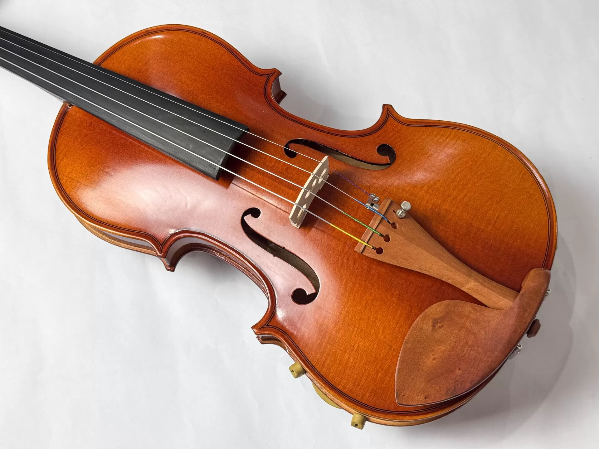 Violin Aurora VA01, có setup cho người mới, FULL PHỤ KIỆN