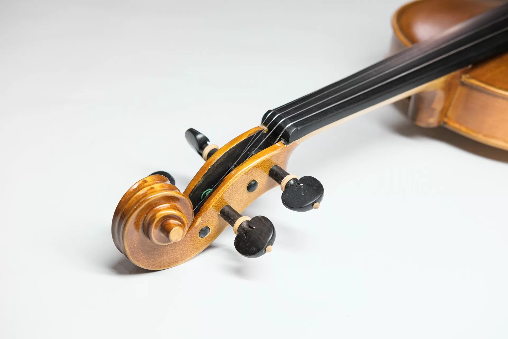 Violin Amati VF300, có setup cho người mới