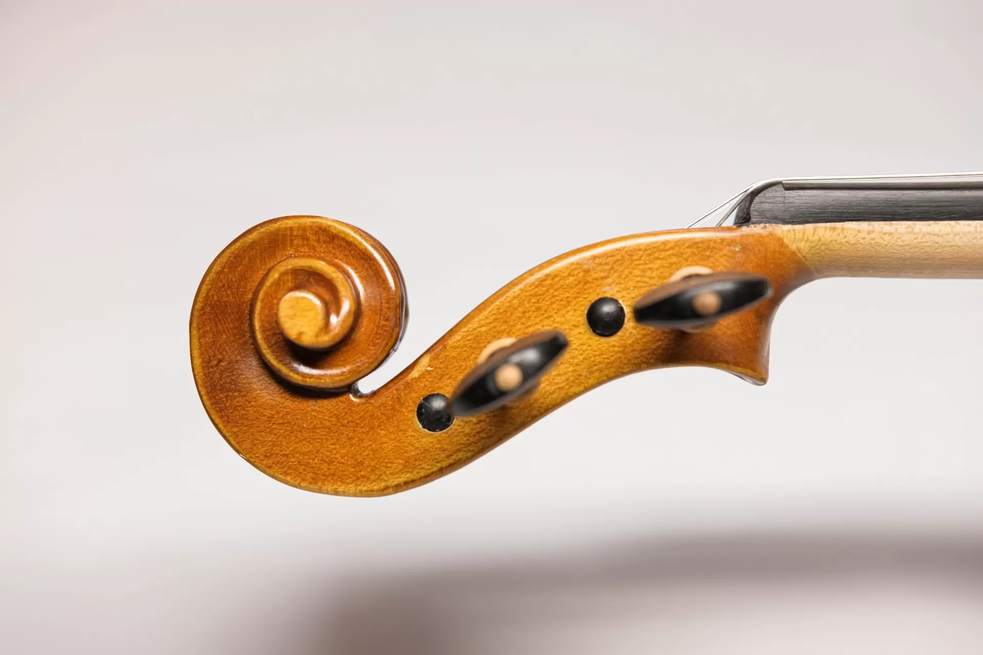 Violin Amati VF300, có setup cho người mới