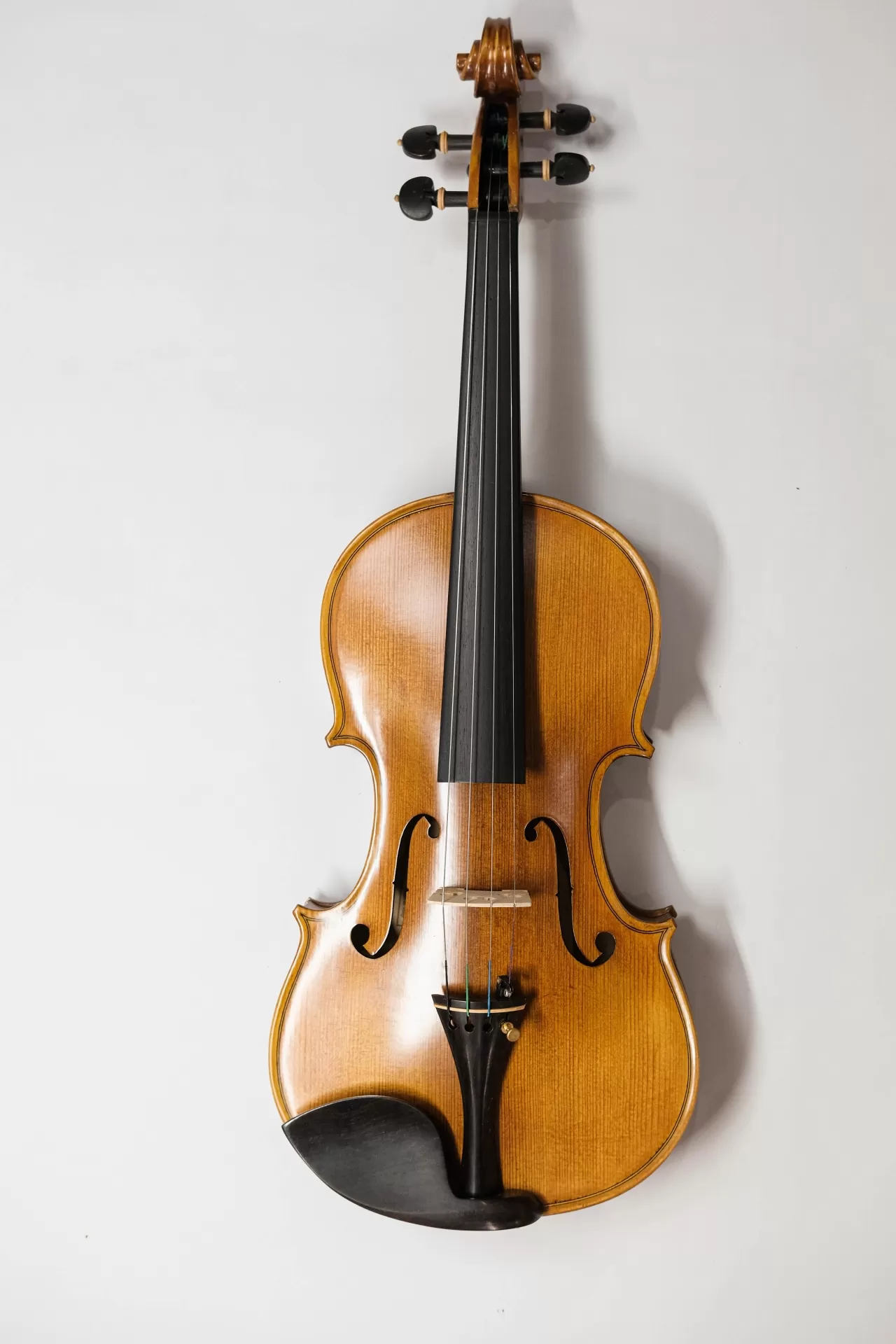 Violin Amati VF300, có setup cho người mới