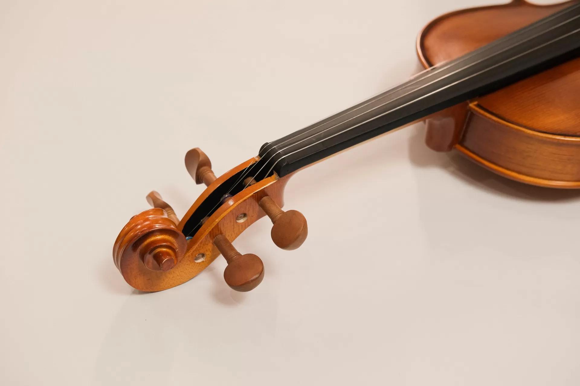 Violin Amati VW30M, có setup cho người mới