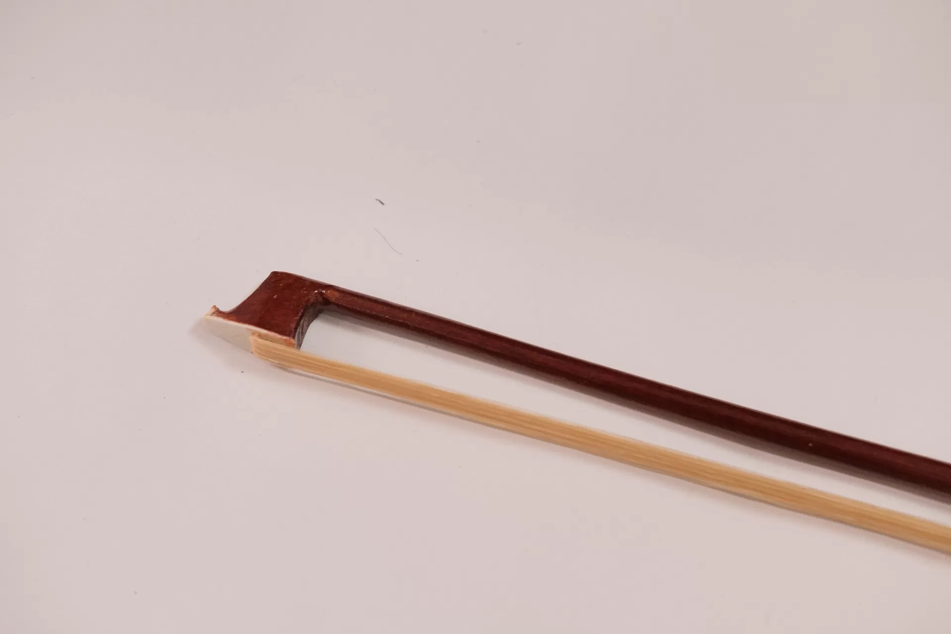 Violin Amati VW30M, có setup cho người mới