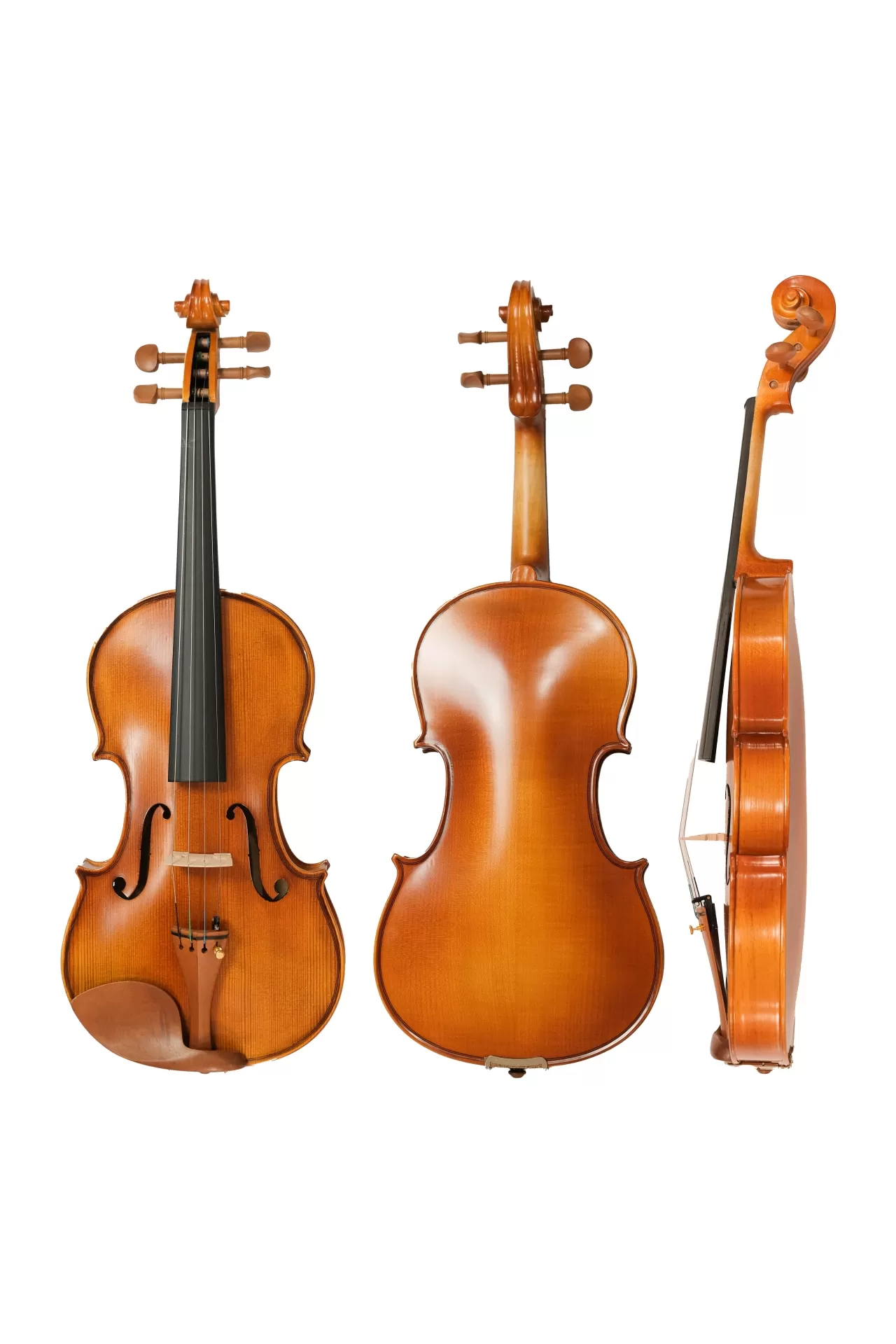 Violin Amati VW30M, có setup cho người mới