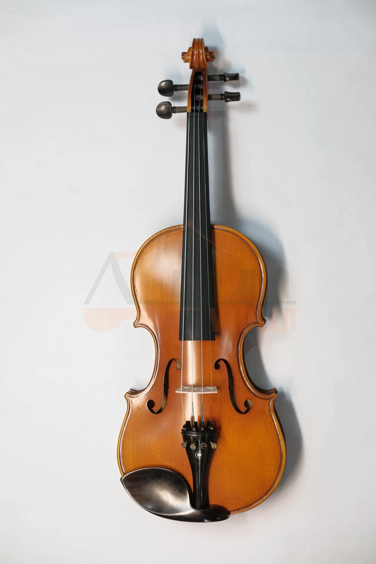 Violin Aurora AU02_có setup, full phụ kiện cho người mới học Violin