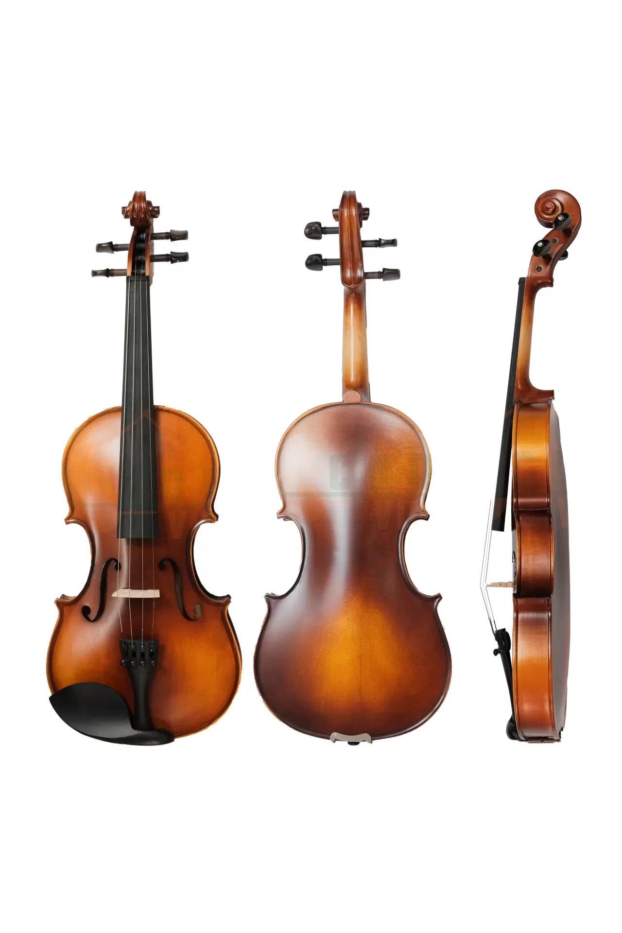 Violin Aurora AU01_có setup, full phụ kiện cho người mới học Violin