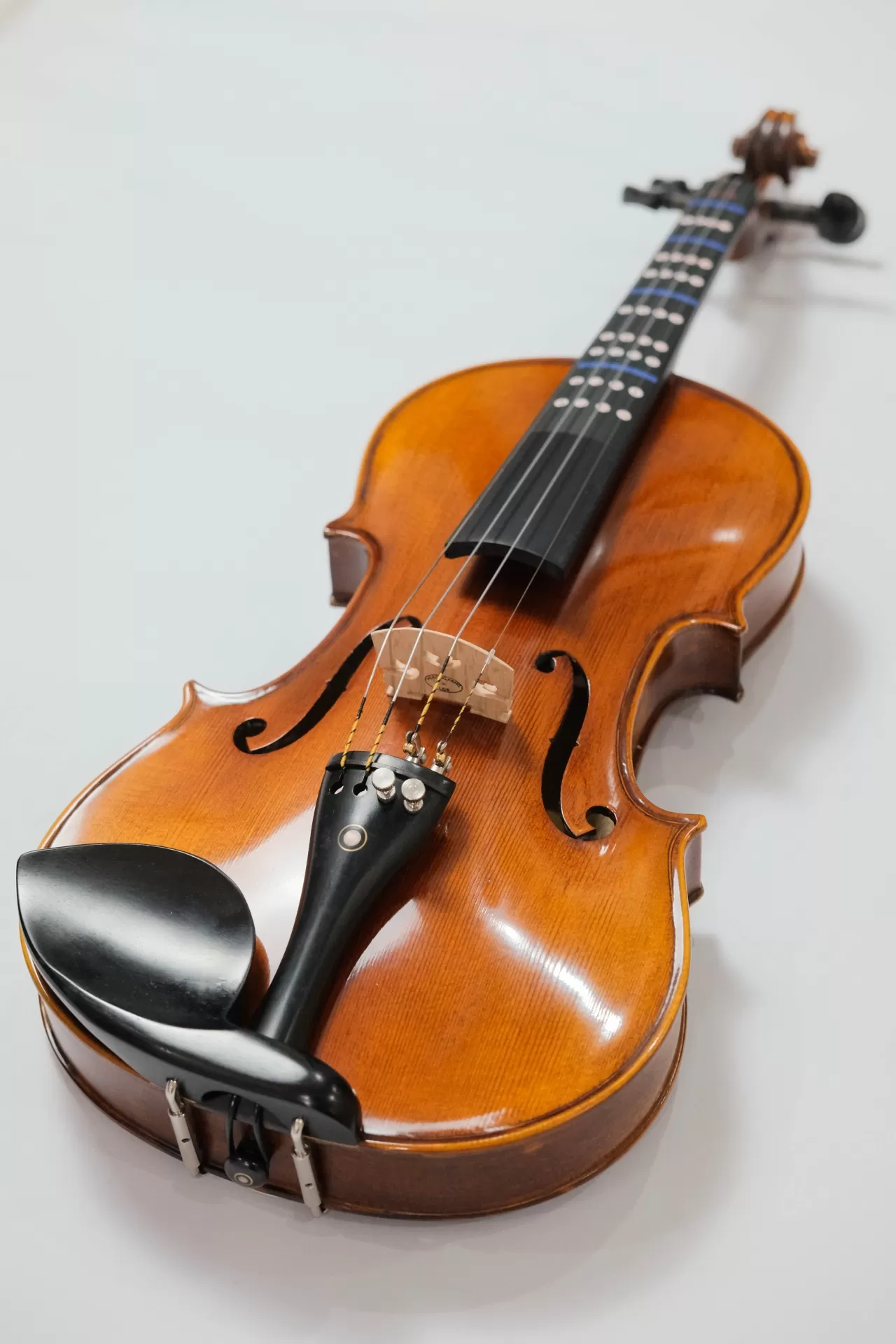 Violin Aurora AU03_có setup, full phụ kiện cho người mới học Violin