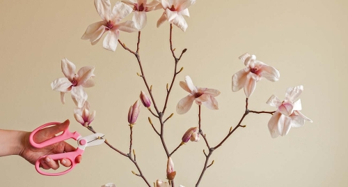 Ảnh thi công Hải Phòng