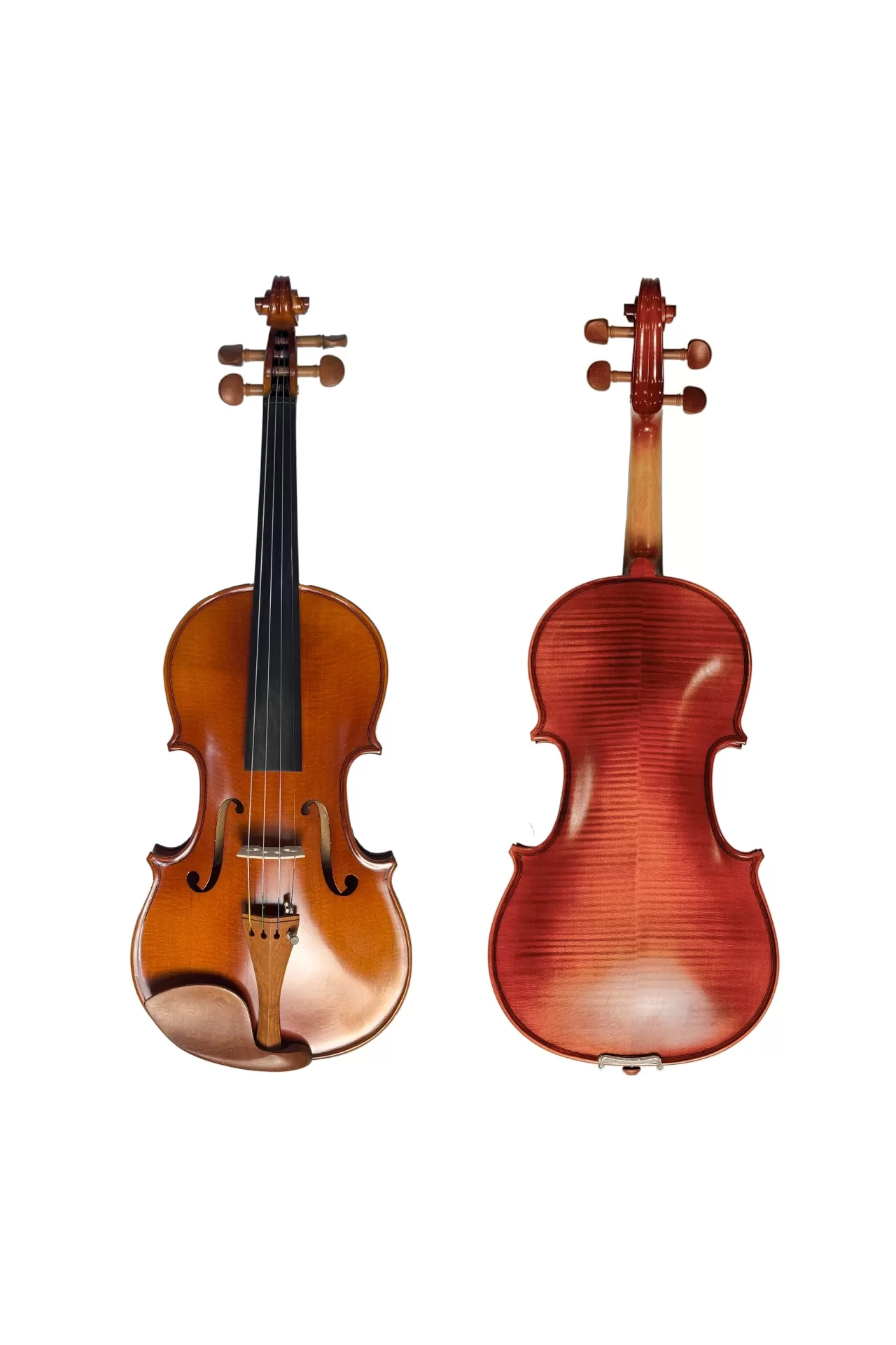 Violin Aurora VA01, có setup cho người mới, FULL PHỤ KIỆN
