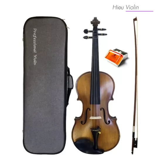 Violin Amati VF300, có setup cho người mới