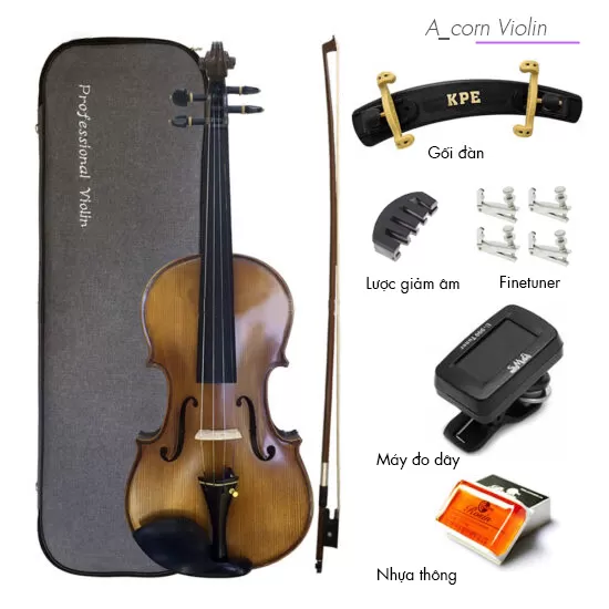 Violin Amati VF300, có setup cho người mới