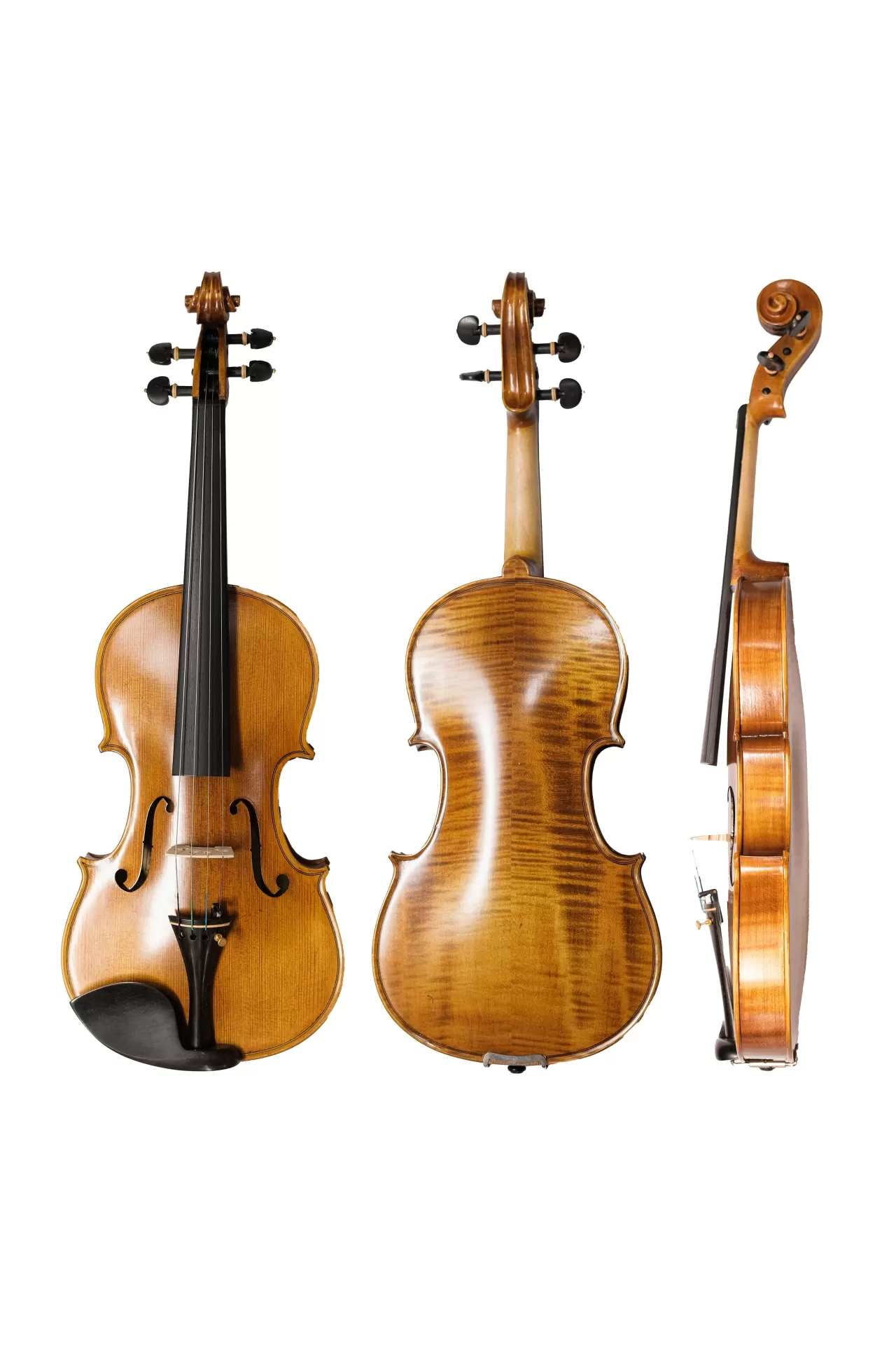 Violin Amati VF300, có setup cho người mới
