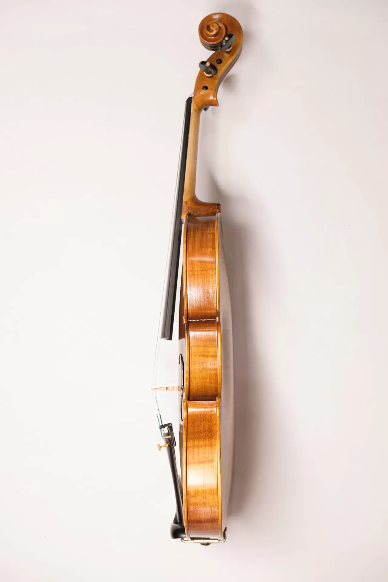 Violin Amati VF300, có setup cho người mới