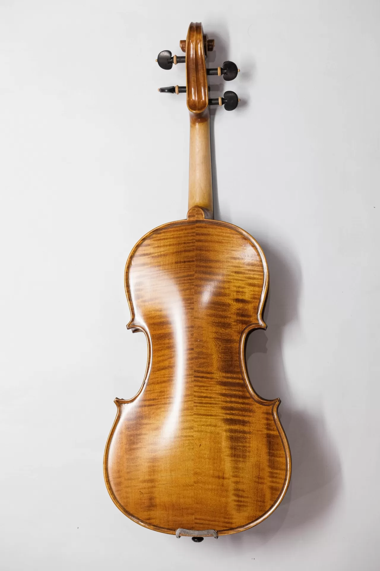 Violin Amati VF300, có setup cho người mới