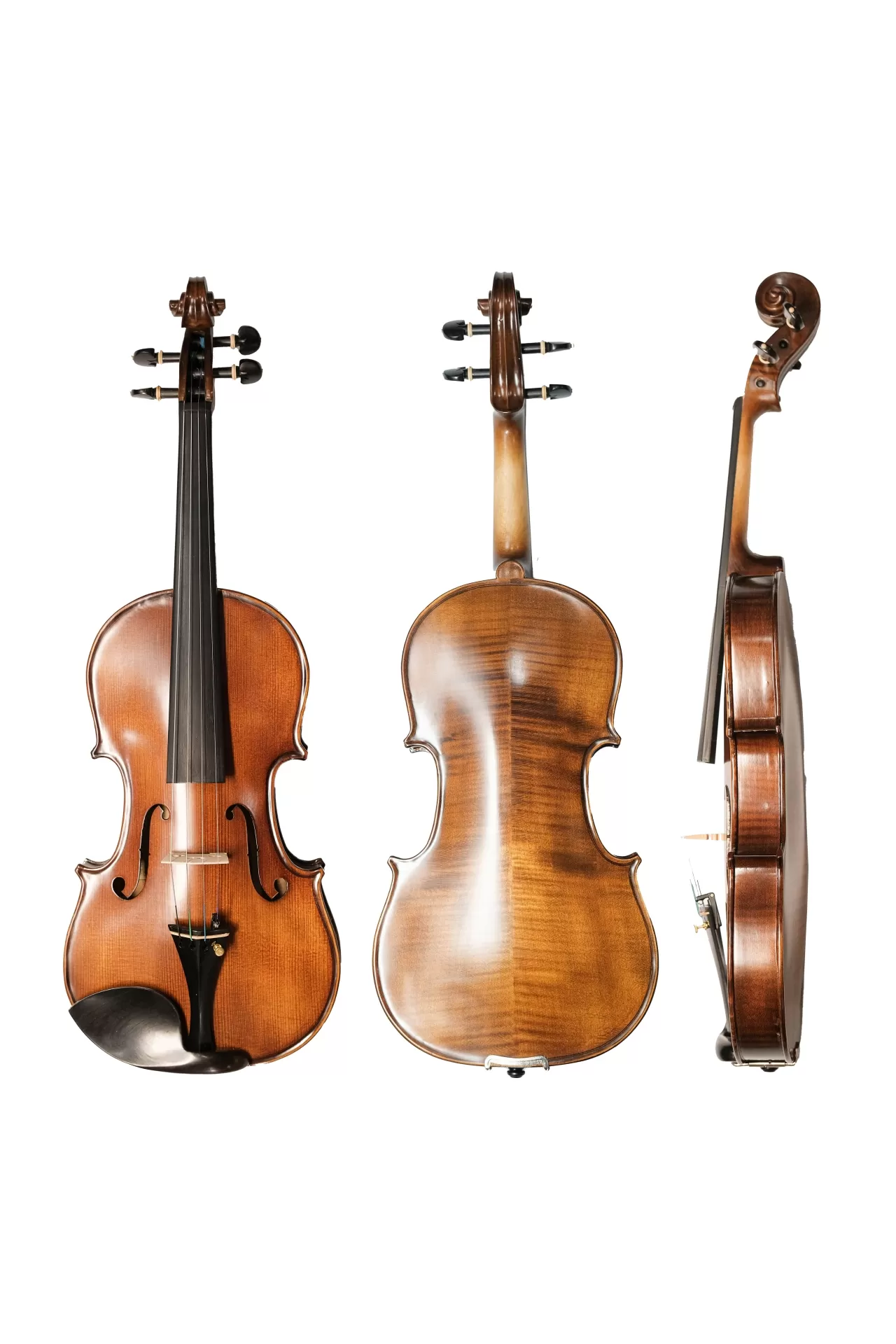 Violin Amati VM118, có setup cho người mới