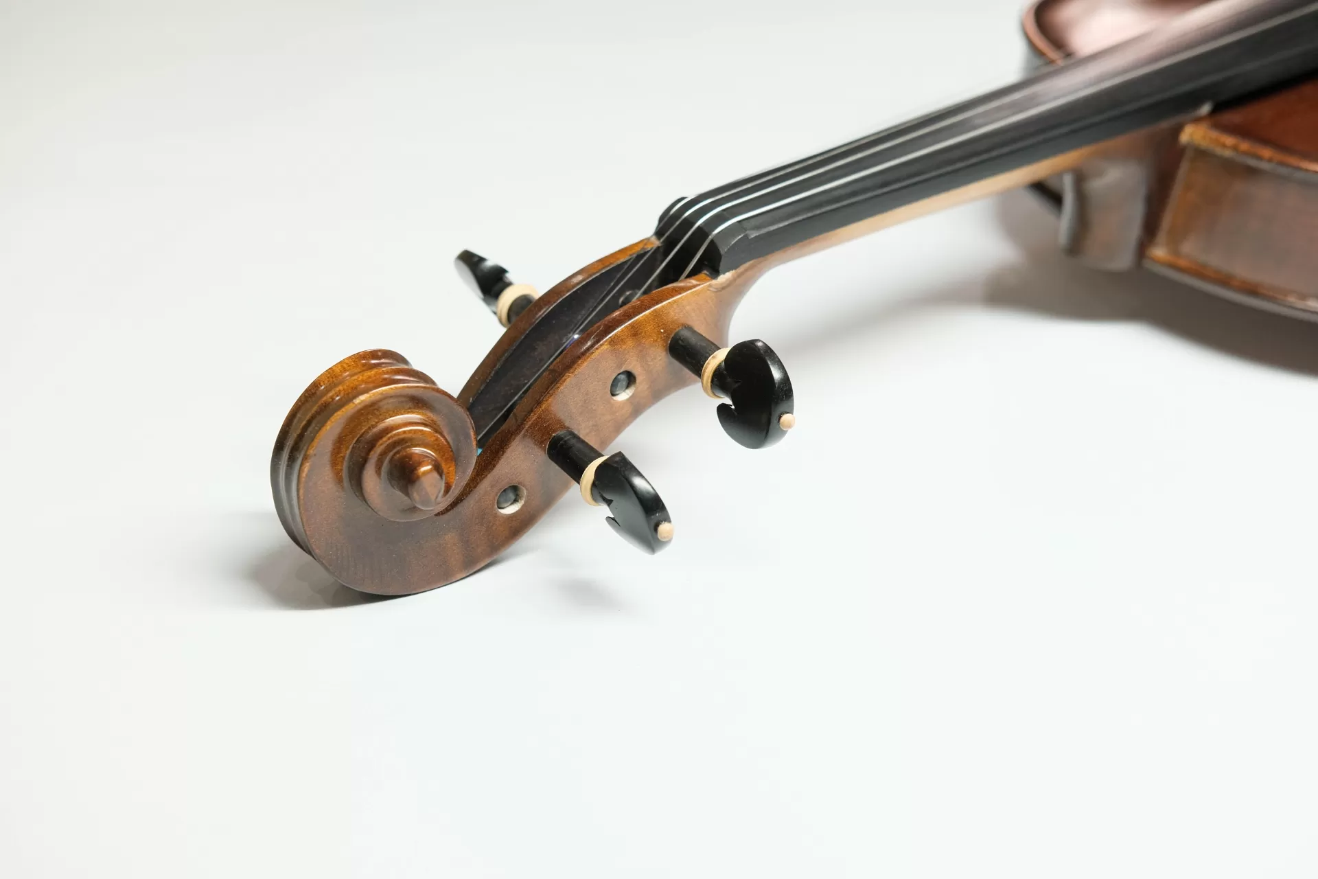 Violin Amati VM118, có setup cho người mới