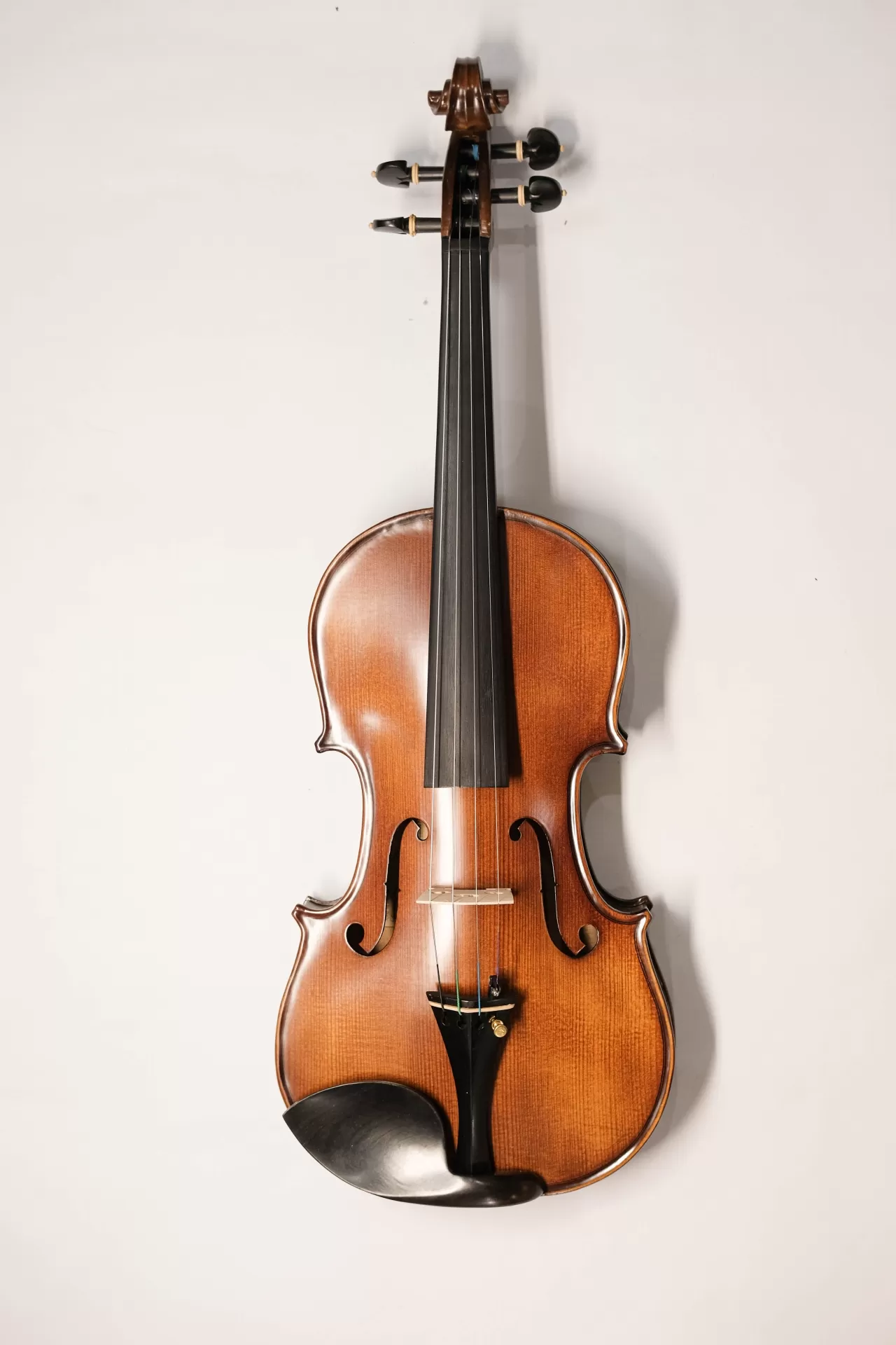 Violin Amati VM118, có setup cho người mới