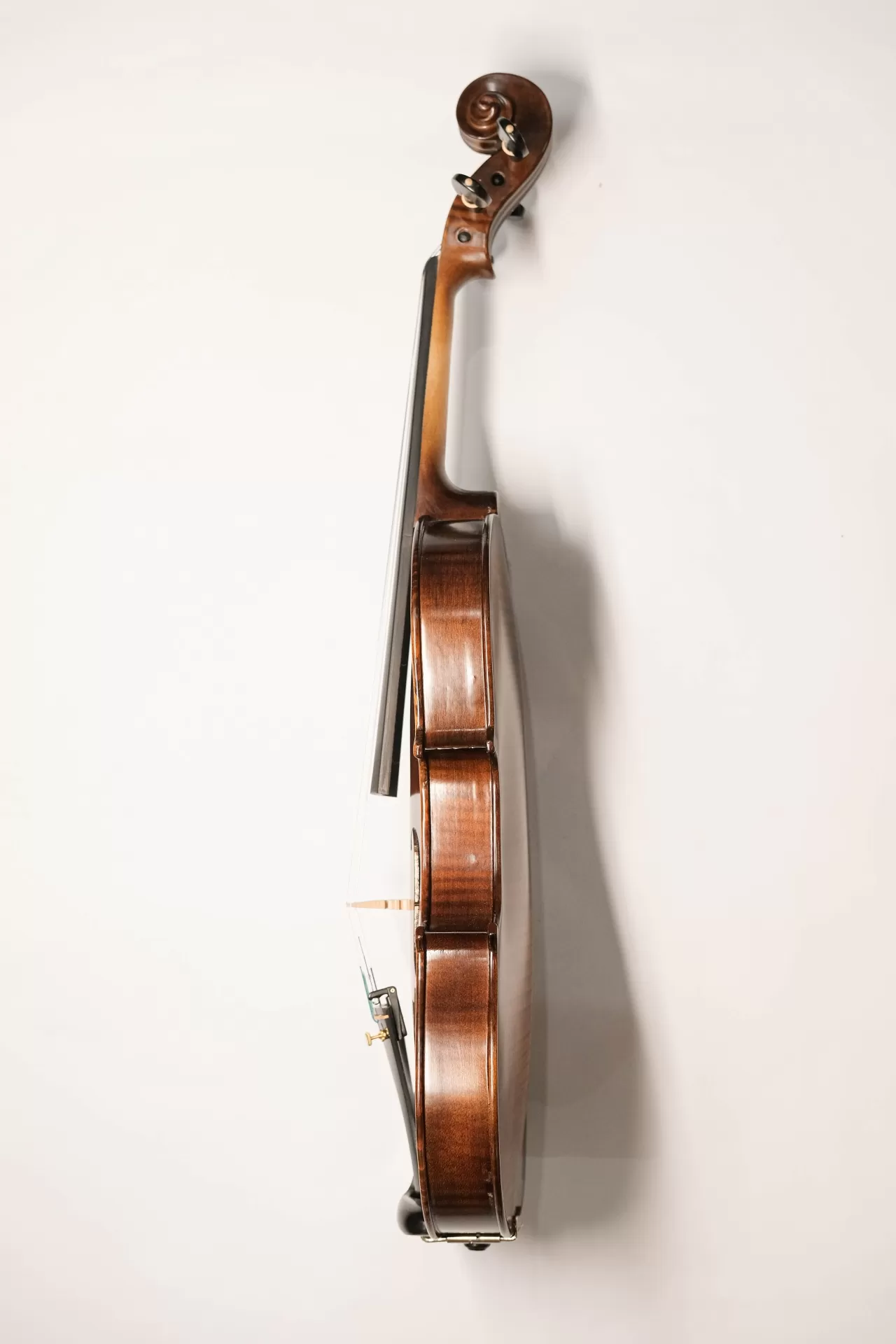 Violin Amati VM118, có setup cho người mới