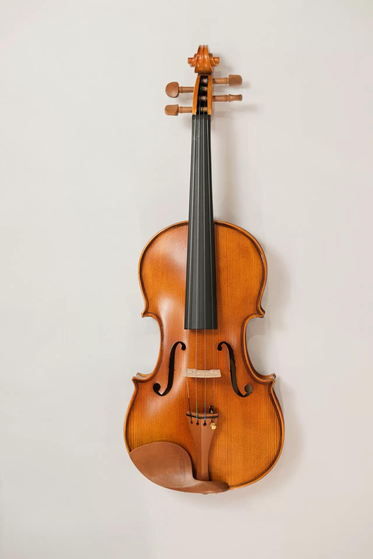 Violin Amati VW30M, có setup cho người mới