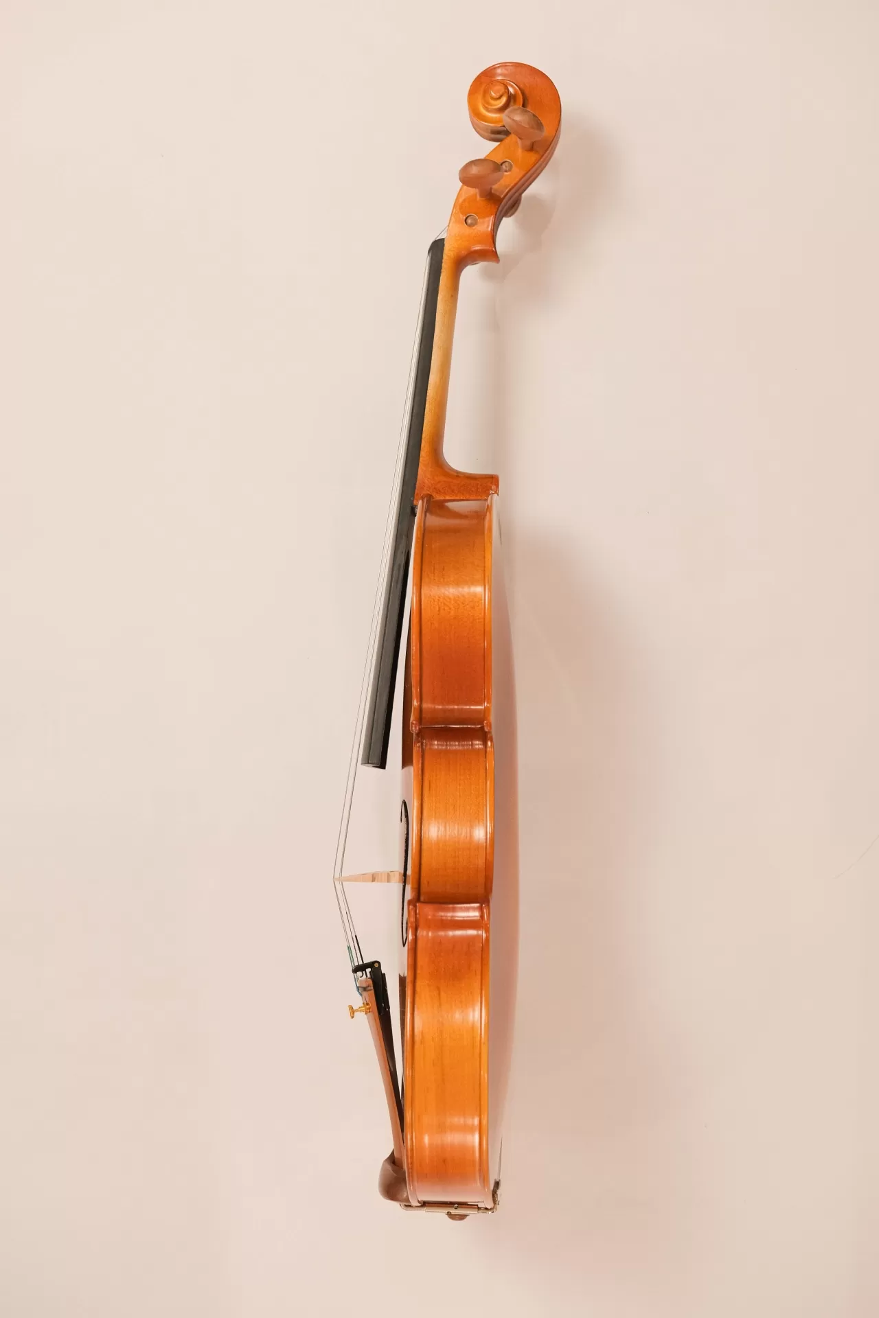 Violin Amati VW30M, có setup cho người mới