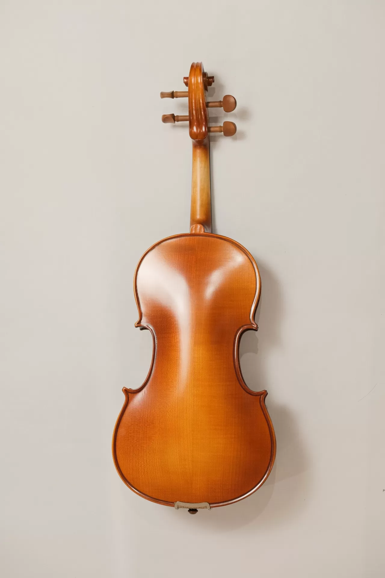 Violin Amati VW30M, có setup cho người mới
